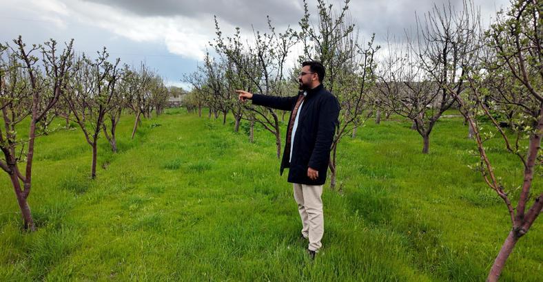 Diş hekimi, memleketine 2 bin ceviz fidanı dikti