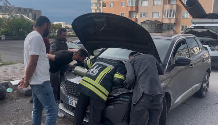 Otomobilin motor bölümüne sıkışan 2 yavru kedi kurtarıldı