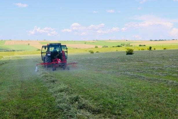 Edirne’deki meralarda ot biçimleri sürüyor