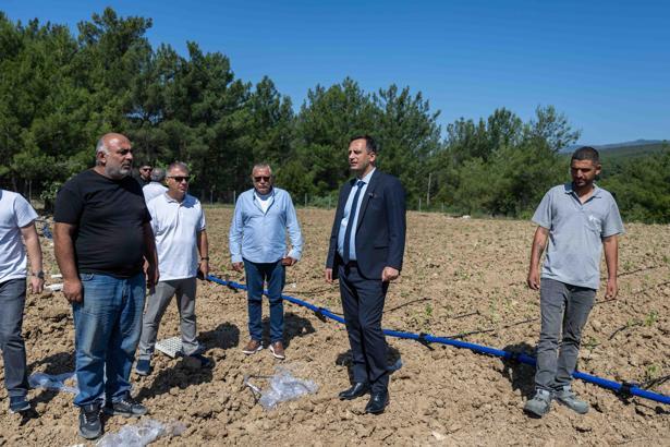 Yakaköy Doğal Tarım Çiftliği'nde sebze yetiştirilip, öğrenci ve ihtiyaç sahiplerine dağıtılacak