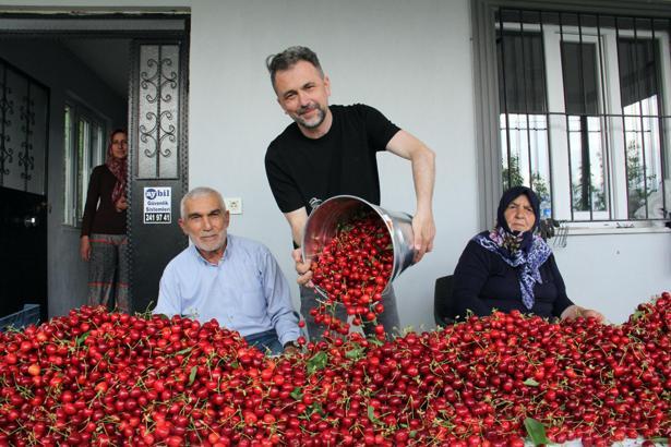 Türkiye'de kiraz mevsimi; Avrupa'ya ihracat başladı