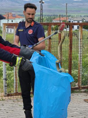 Bahçeye giren 2 metrelik yılan, itfaiye tarafından yakalandı