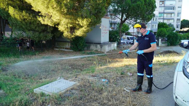 Balıkesir'de vektörle mücadelede tam zamanlı mesai