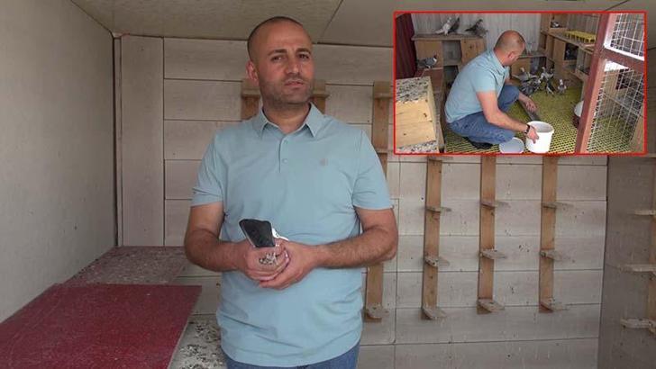 Sanal medya bağımlılığından güvercinler sayesinde kurtuldu