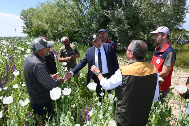Kaymakam Türker haşhaş tarlasında