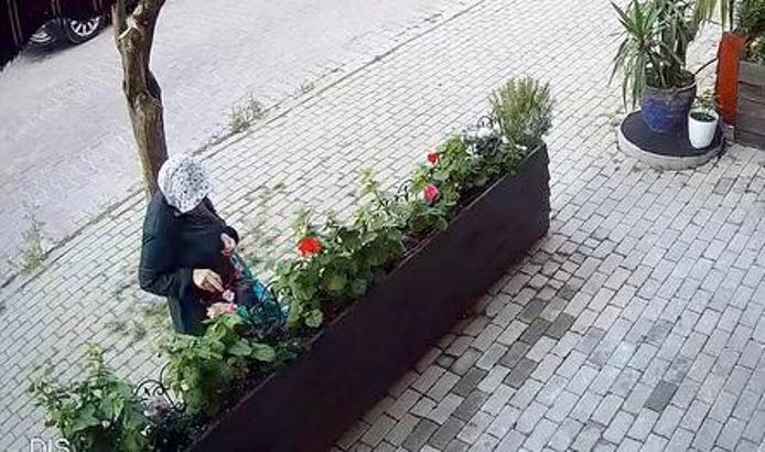 Avcılar'da iş yerinin önünde yetiştirilen çiçekleri söküp çaldı: 'Sabahın köründe şafak operasyonu gibi'