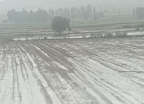 Kayseri’de sağanak ve dolu ekili alanlara zarar verdi