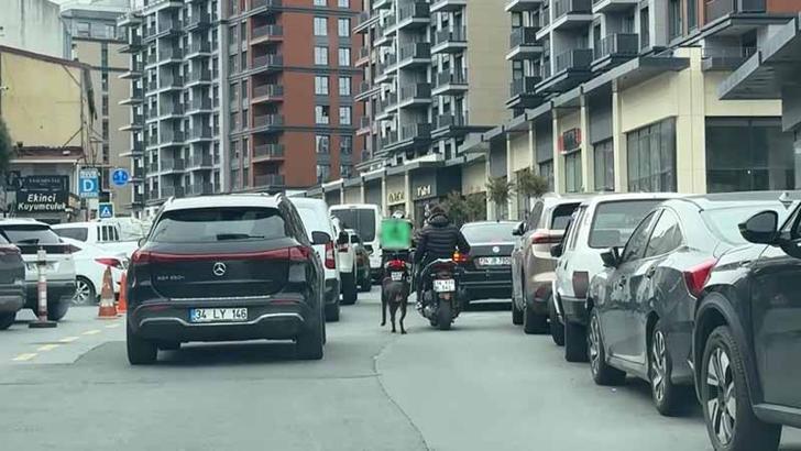 Seyrantepe’de motosiklete baÄŸladığı köpeÄŸi metrelerce koÅŸturdu: 8 bin 678 lira ceza kesildi