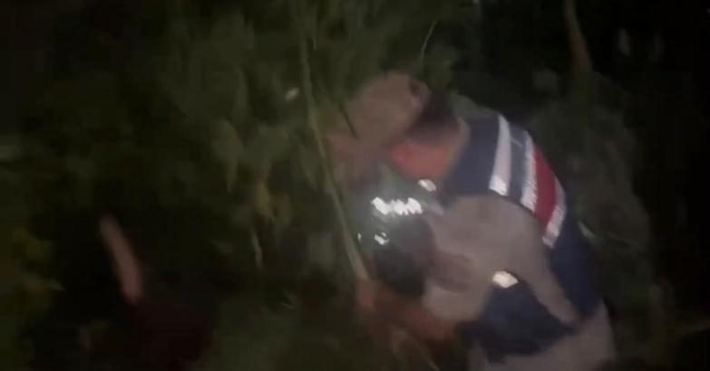 Hatay’da 148 kök Hint keneviri ele geçirildi