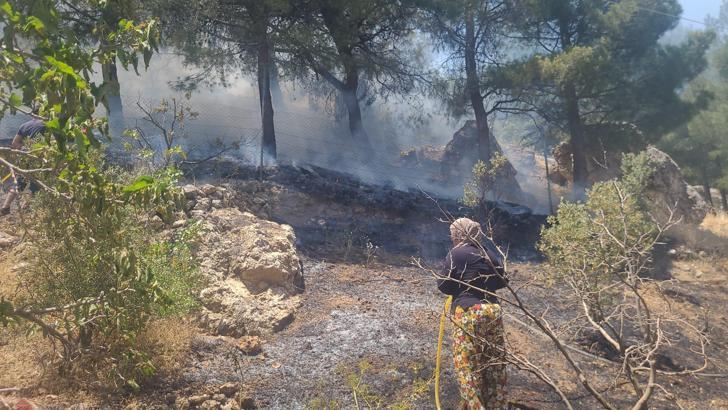 Kahramanmaraş’ta orman yangını