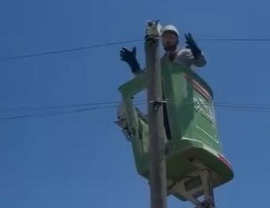 Amasya'da elektrik direğinde mahsur kalan kedi kurtarıldı
