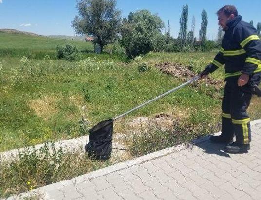 Eve giren yılan, itfaiye ekipleri tarafından yakalandı