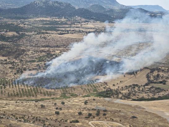 Çanakkale'de orman yangını kontrol altında