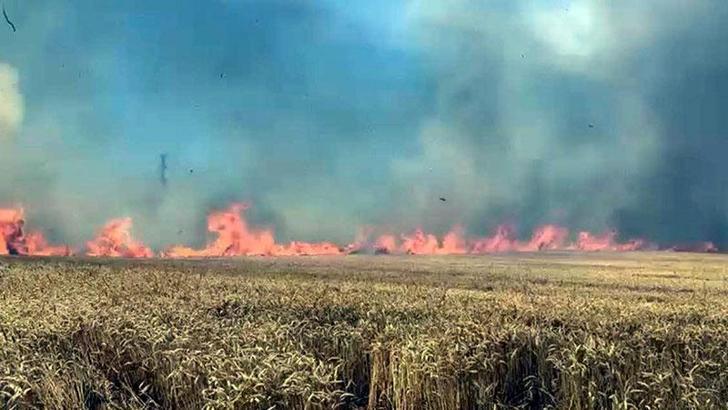 Tekirdağ'da 100 dekar buğday tarlası yandı