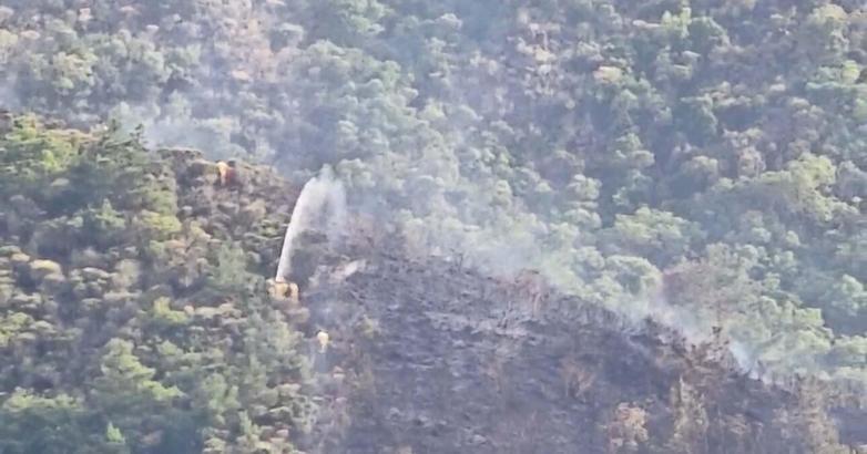 Marmaris'te ormana yıldırım düştü, yangın çıktı (2)