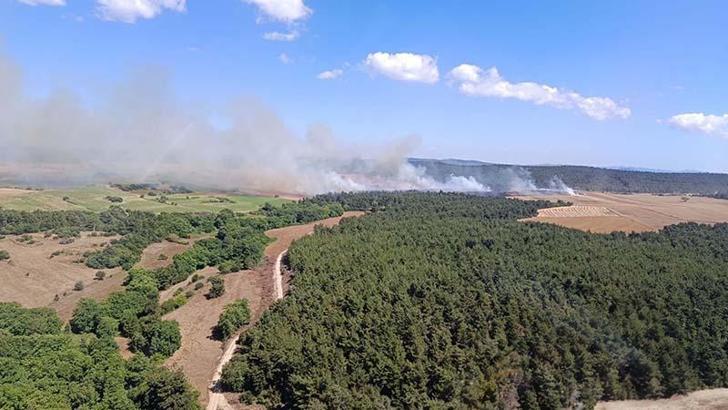 Çanakkale'de orman yangını