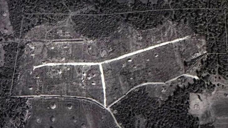 Ormanı bölüşen kamu personeline mahkeme 'dur' dedi