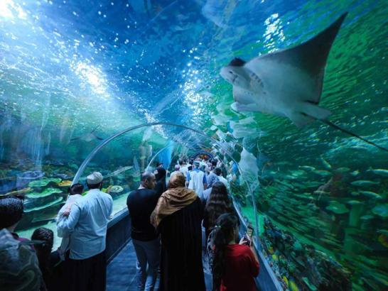 Kocaeli'ndeki Körfez Aqua Kıtalar Akvaryumu'na ücretsiz ziyaret süresi uzatıldı
