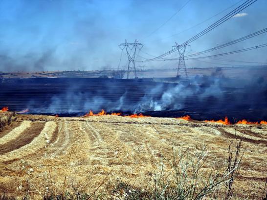 Edirne'de anız yangını; 500 dekar tarım arazisi zarar gördü