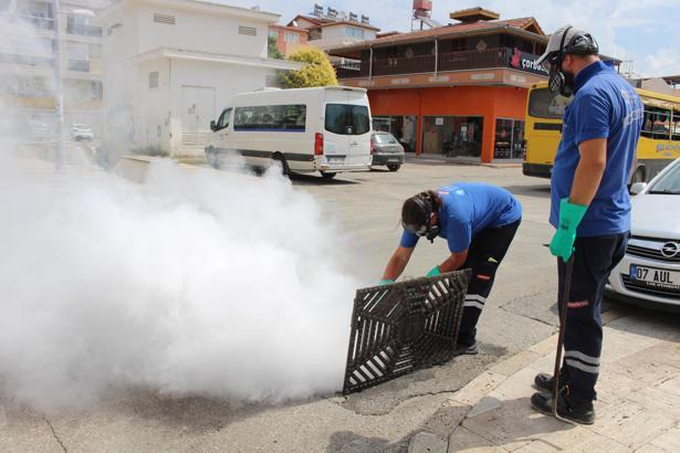19 ilçede vektörle yoğun mücadele