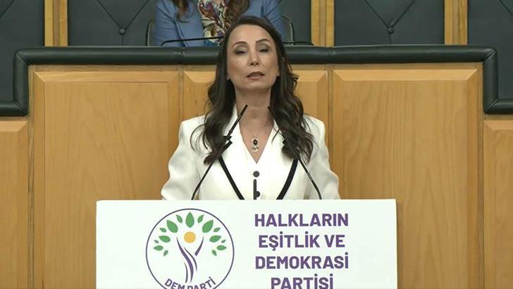 DEM Parti'li Hatimoğulları: Çerçeve yasanın acilen çıkması lazım