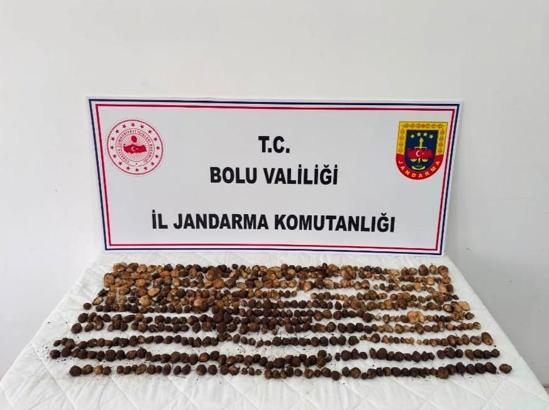 Yabani salep toplayan 3 kişiye 2 milyon 97 bin TL ceza