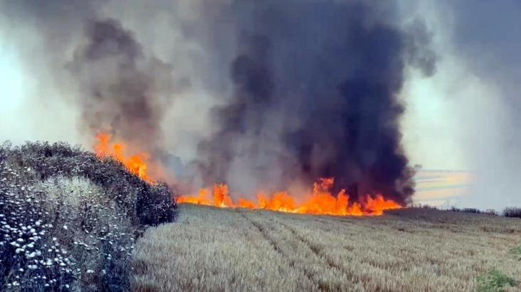 Tekirdağ’da yangın; 300 dönüm buğday ekili alan zarar gördü