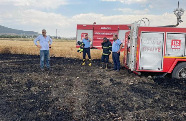 Gaziantep'te 5 dönümlük buğday tarlası yandı