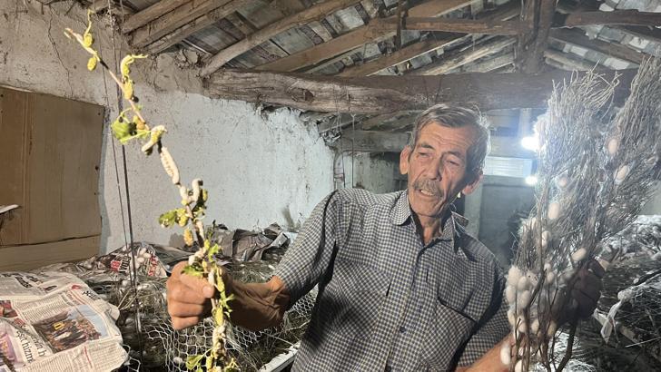 İpek böcekçiliğinin 3'üncü kuşak temsilcisi