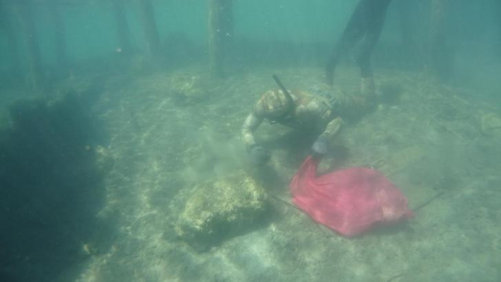 Bodrum'da denizden 250 kilogram çöp çıktı