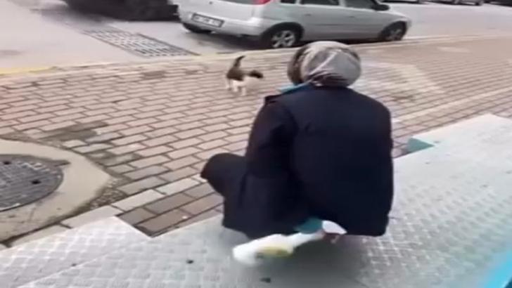 Kedinin yüzüne sprey sıkan market çalışanı beraat etti