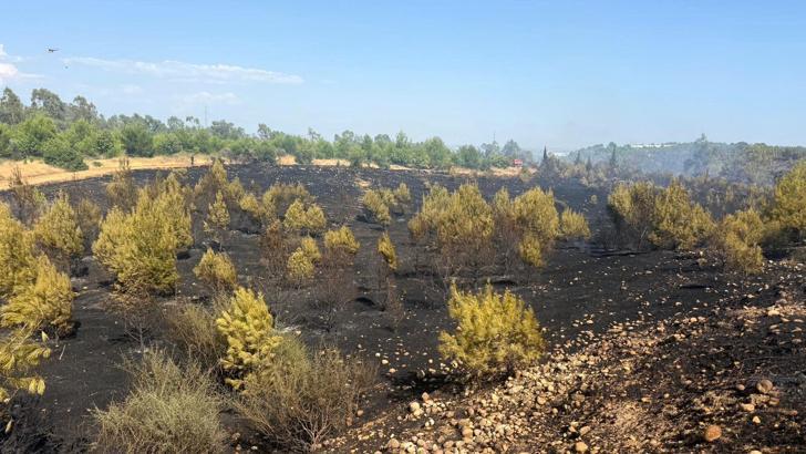 Antalya'da orman yangını (2)