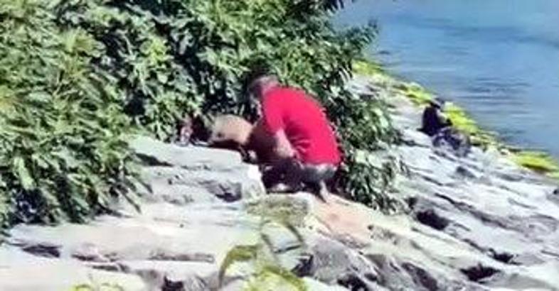 Avcılar Sahili’nde köpeğe şiddet kamerada