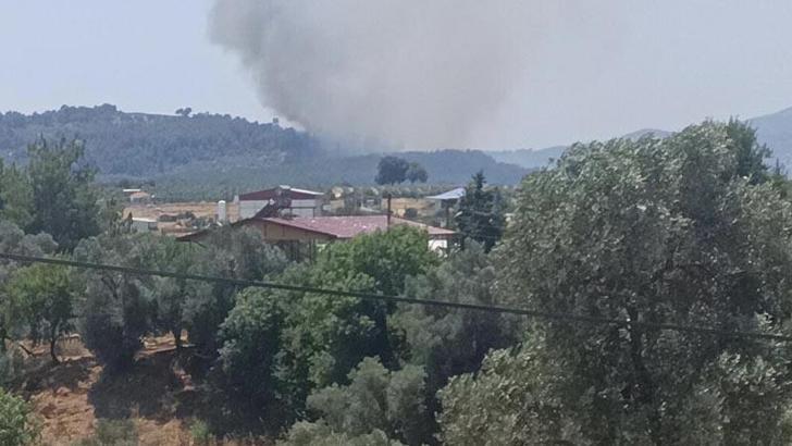 Muğla'da tarım arazisinde çıkan yangın ormana sıçradı
