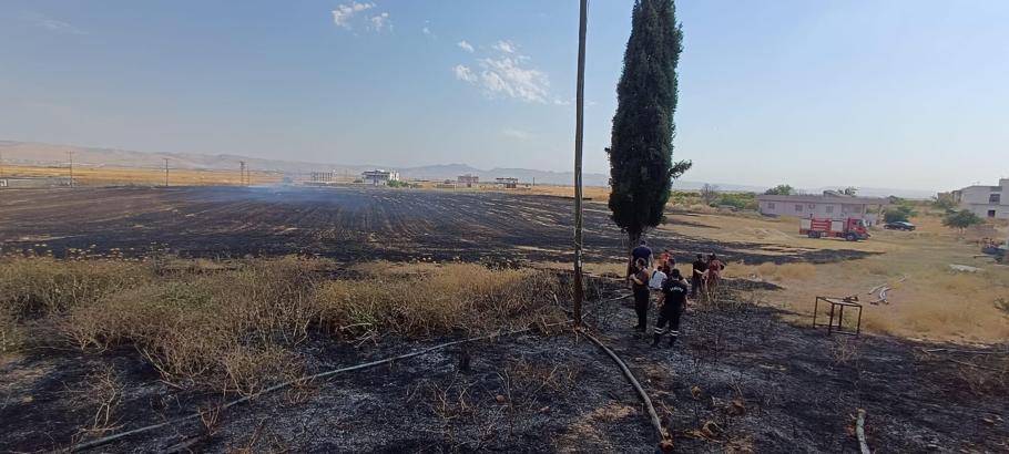 Mardin'de 8 farklı noktada anız ve bahçe yangını
