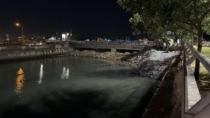 Bakırköy Çırpıcı Deresi’nde toplu balık ölümü