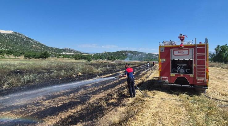 Yeşilova'da saman ve anız yangını