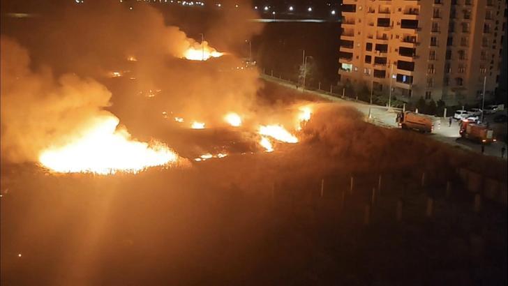 Nusaybin’de sınırdaki mayınlı araziye ulaşan anız yangını 3 saatte söndürüldü