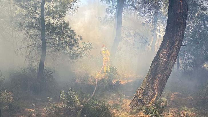 Çanakkale'de tarım arazisinde yangın