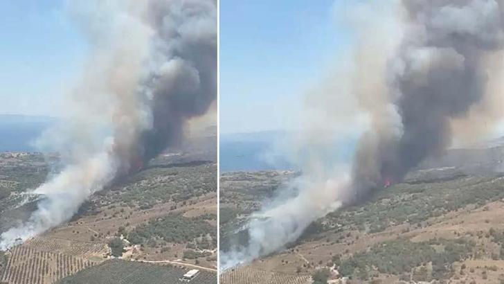 İzmir'de maki yangını