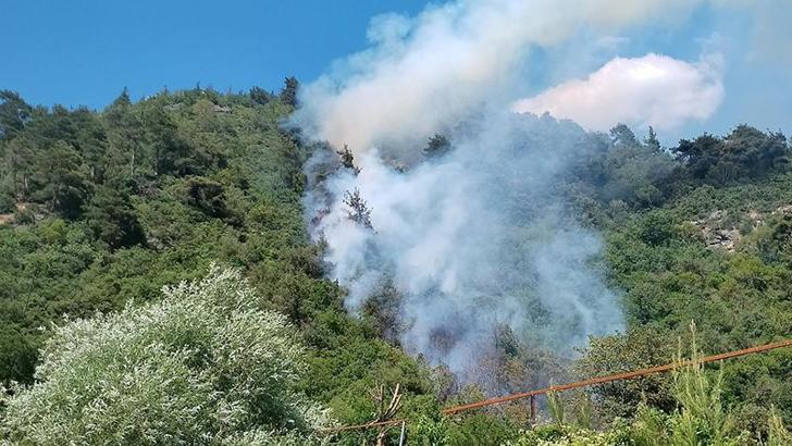 Bursa'da orman yangını