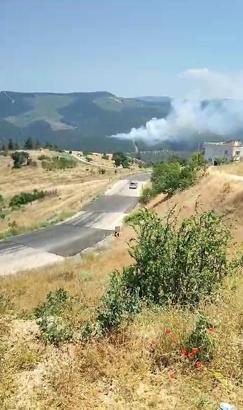 Bursa'da orman yangını