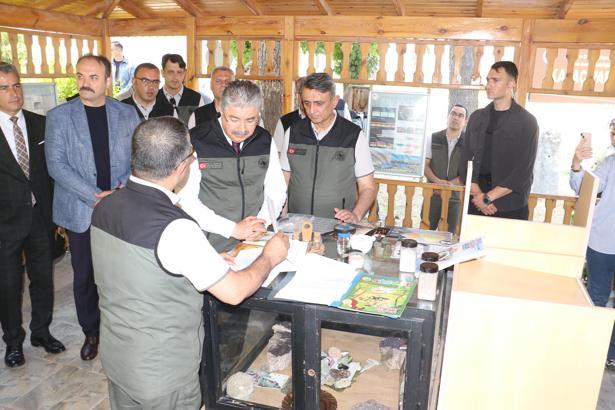 Bursa’da yanan ormanlar, Eskişehir’de üretilen fidanlarla yeşillenecek
