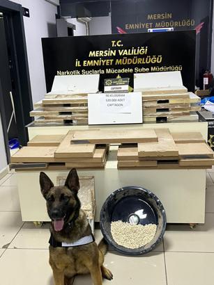Mersin’de 520 bin uyuşturucu hap ele geçirildi; 2 tutuklama