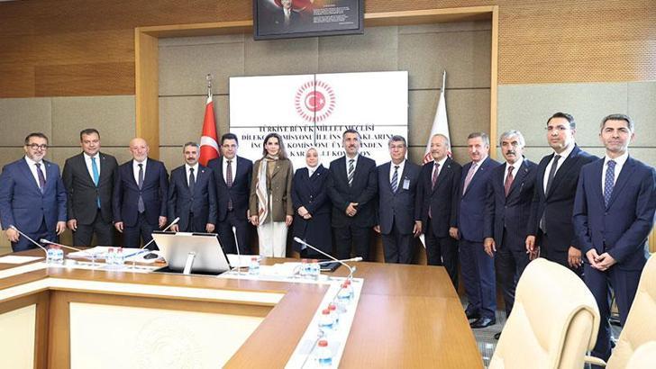 Dilekçe Komisyonu ile İnsan Haklarını İnceleme Komisyonu Üyelerinden Oluşan Alt Komisyon toplandı