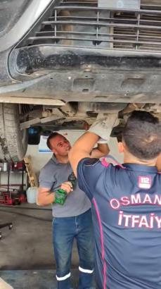 Otomobilin motor bölümüne sıkışan yavru kedi kurtarıldı
