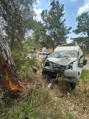Kamyonet ağaca çarptı: 1 ölü