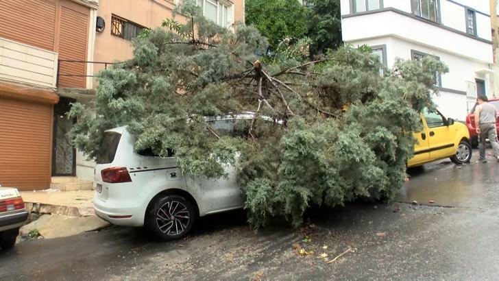 Şişli'de sağanak; 2 ağaç otomobilin üzerine devrildi