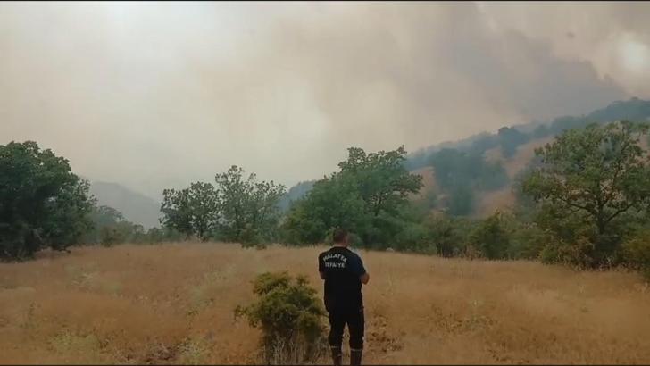 Malatya'da orman yangını