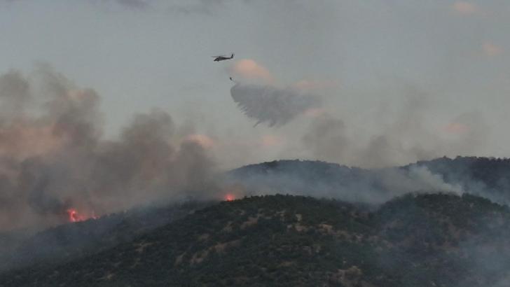 Malatya'da orman yangını (2)